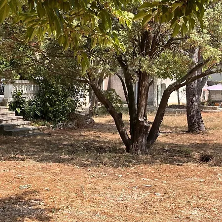 Independant Avec Jardin Prive * Nîmes