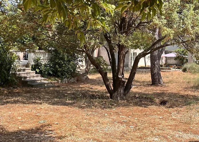 Maisonnette Indépendante Avec Jardin/patio * Nîmes